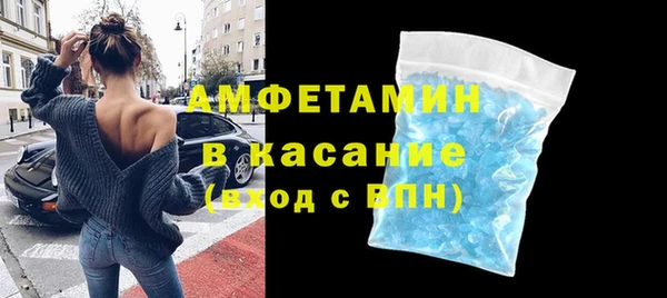 молекула духа Богданович