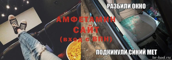 молекула духа Богданович
