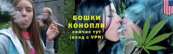 молекула духа Богданович