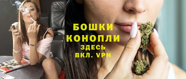 молекула духа Богданович