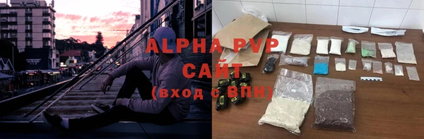 молекула духа Богданович