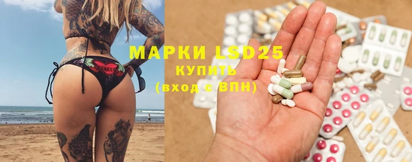 молекула духа Богданович
