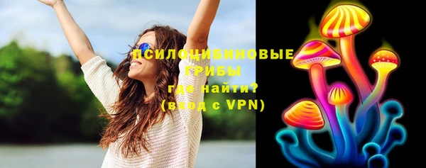 прущая мука Богородск