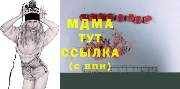 молекула духа Богданович
