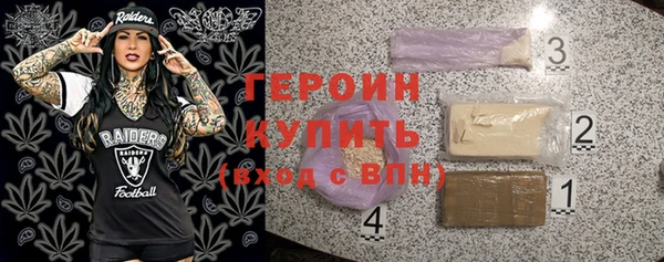 молекула духа Богданович