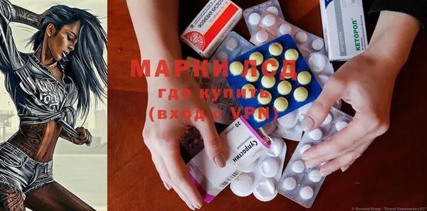 молекула духа Богданович