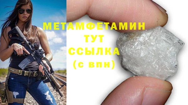 молекула духа Богданович