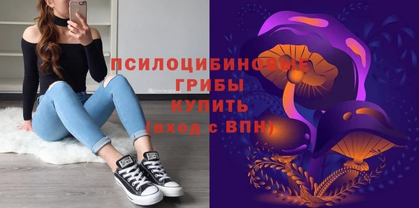 прущая мука Богородск